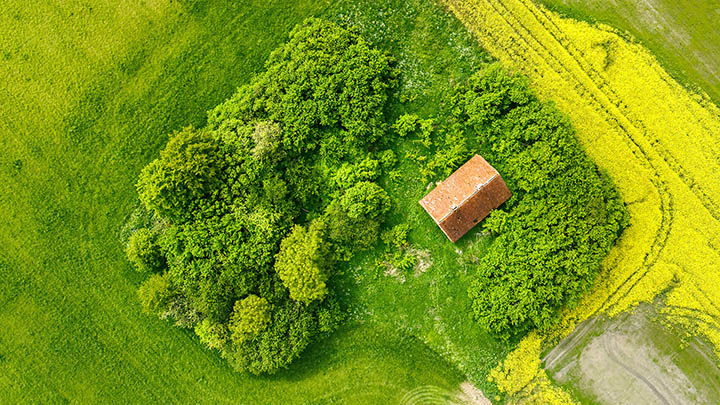 api img 6965a0a4e6020