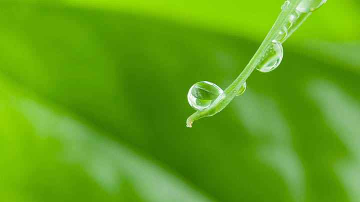 api img 696786eb70e70