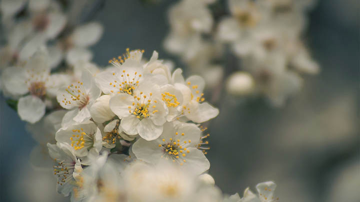 api img 696a1d1ba1799