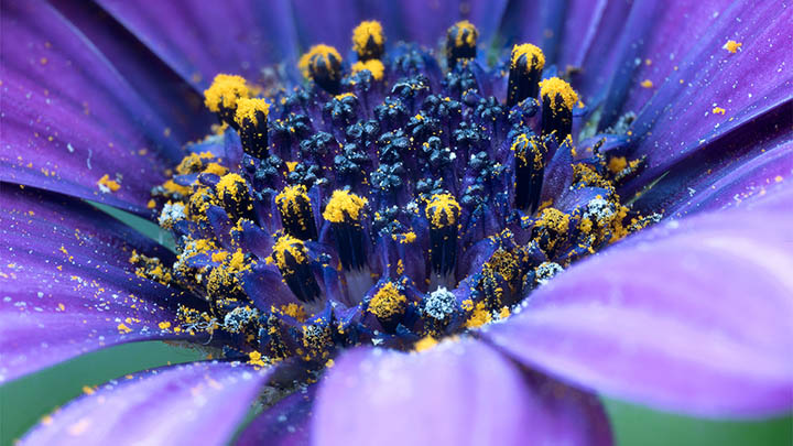 WPS下载插件全攻略:完整教程与实用技巧解析 WPS下载插件全攻略:完整教程与实用技巧解析 二