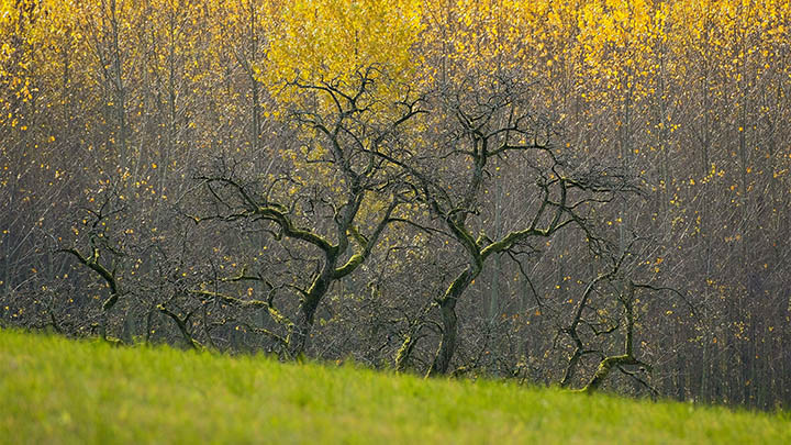 WPS软件怎么下载?安装教程大揭秘 WPS软件怎么下载?安装教程大揭秘 二