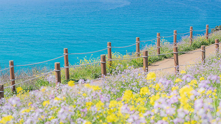 Windows系统如何轻松下载安装WPS Office全步骤图解教程2025年 二