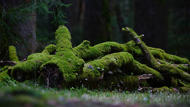 WPS安装包下载：快速搞定3步指南 二