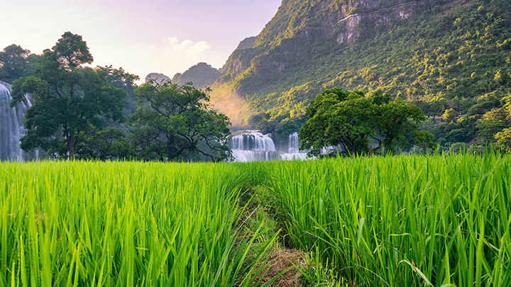 WPS下载安装:2个简单步骤获取PS软件 WPS下载安装:2个简单步骤获取PS软件 二