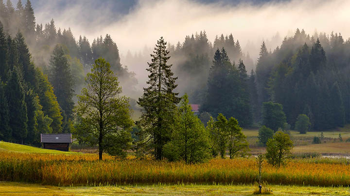 如何从WPS官网快速下载WPS:3个简单步骤详解 如何从WPS官网快速下载WPS:3个简单步骤详解 二