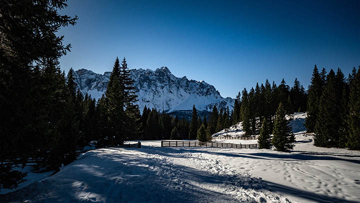 下载WPS后如何轻松删除文件? 下载WPS后如何轻松删除文件? 二