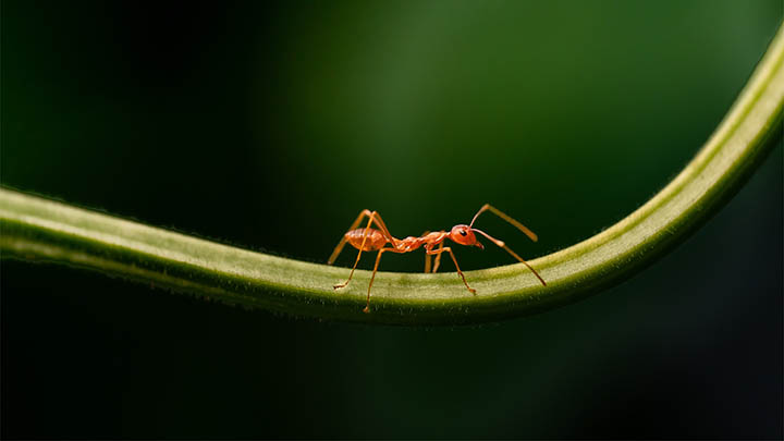 WPS学堂下载失败？资源找不到/安装包解析错误完整解决方案 二