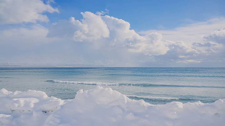 外国版WPS官网下载指南Win/Mac全支持 二