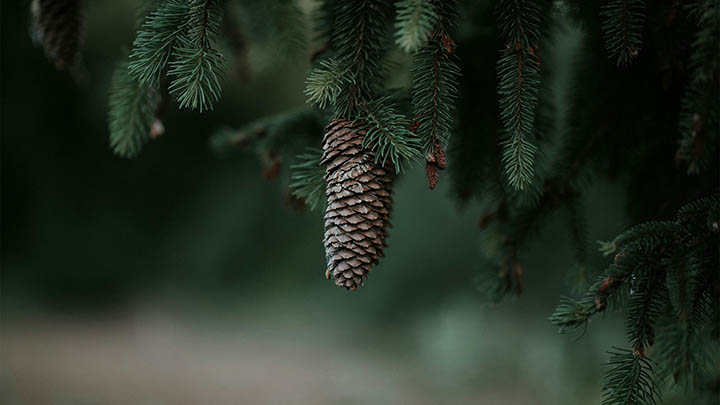 WPS如何下载韩文?设置语言全攻略 WPS如何下载韩文?设置语言全攻略 二