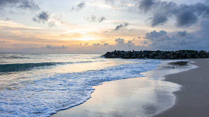 WPS下载攻略：教你3步快速获取完整版 二