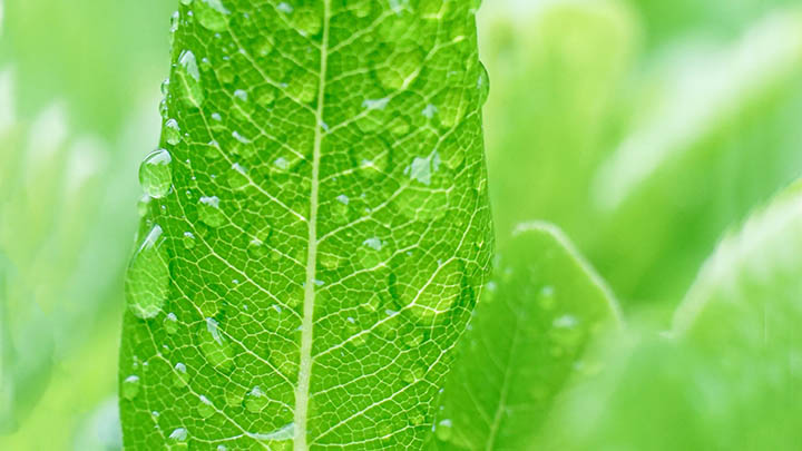 WPS如何下载中文?教程详解,快速搞定完整安装 WPS如何下载中文?教程详解,快速搞定完整安装 二