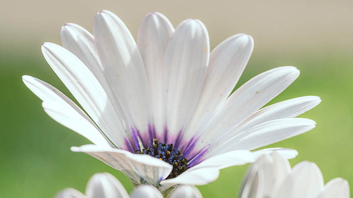 如何下载新版WPS不求人：一站式解决安装难题，让你轻松拥有最新版2025年 二