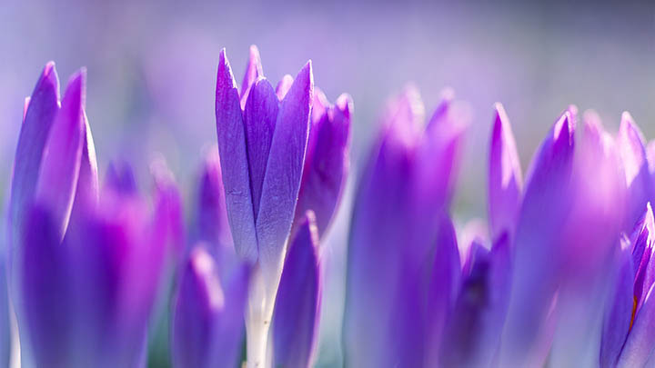 下载WPS后如何打印？详细教程来啦！ 二