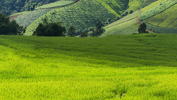 WPS如何快速下载？详细教程+官方正版入口 二