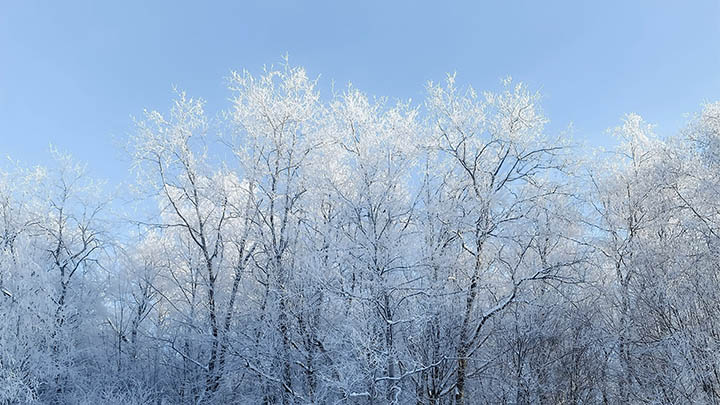 WPS如何下载链接？详细教程教你快速获取 二
