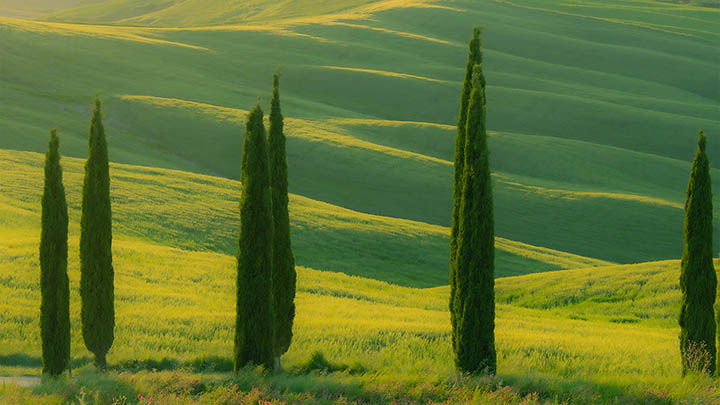 WPS如何下载教材？官方指南三步轻松搞定 二