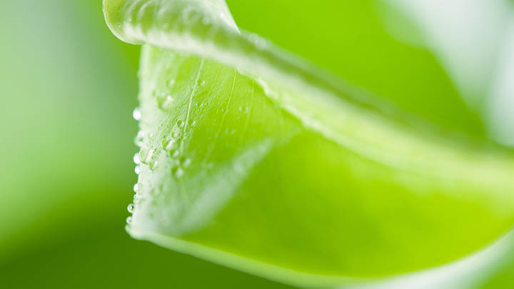 微软WPS下载+官方完整指南2025年 二