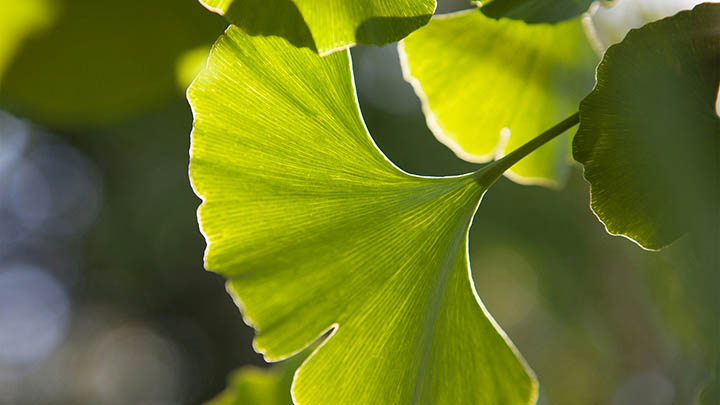 最新WPS怎么下载？离线下载包制作+在线更新详解2025年 二