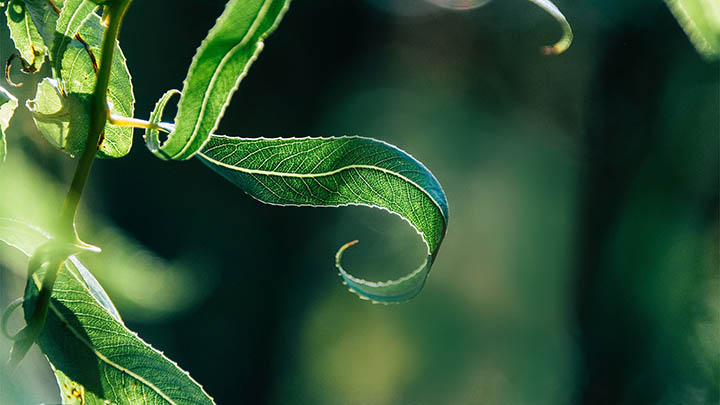 WPS中文怎么下载安装？全网最全教程 二