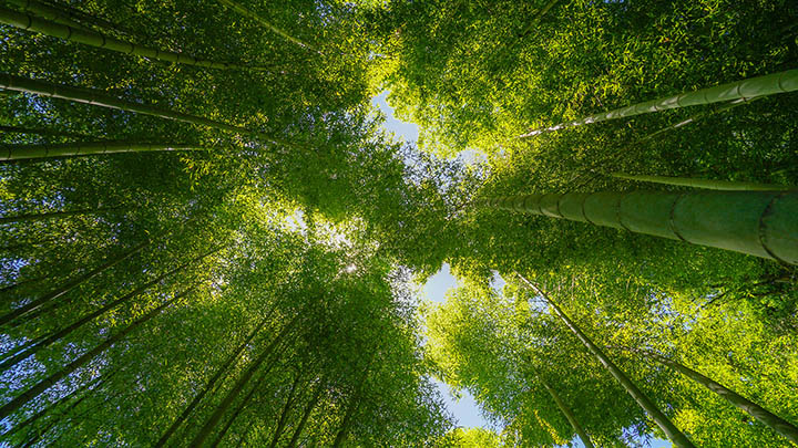 WPS附件如何下载？详细教程让你快速掌握技巧 二